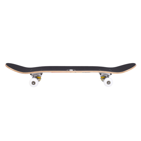 Gördeszka skateboard AGA MR6098-3 31"